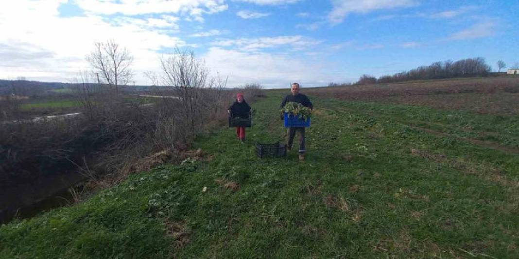 4 mevsim toprakta emek veriyorlar! Karı-koca bir mesai: Aracısız pazara ulaşıyor 4